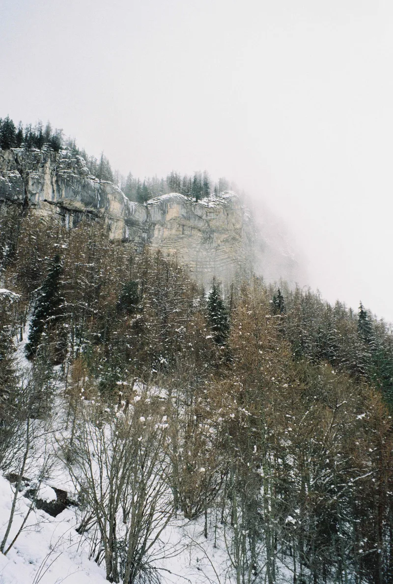 Alpes de Haute Provence shot on Fujifilm Superia 200 with a Olympus Superzoom 105G, developed at Mori Film Lab, by Lucas