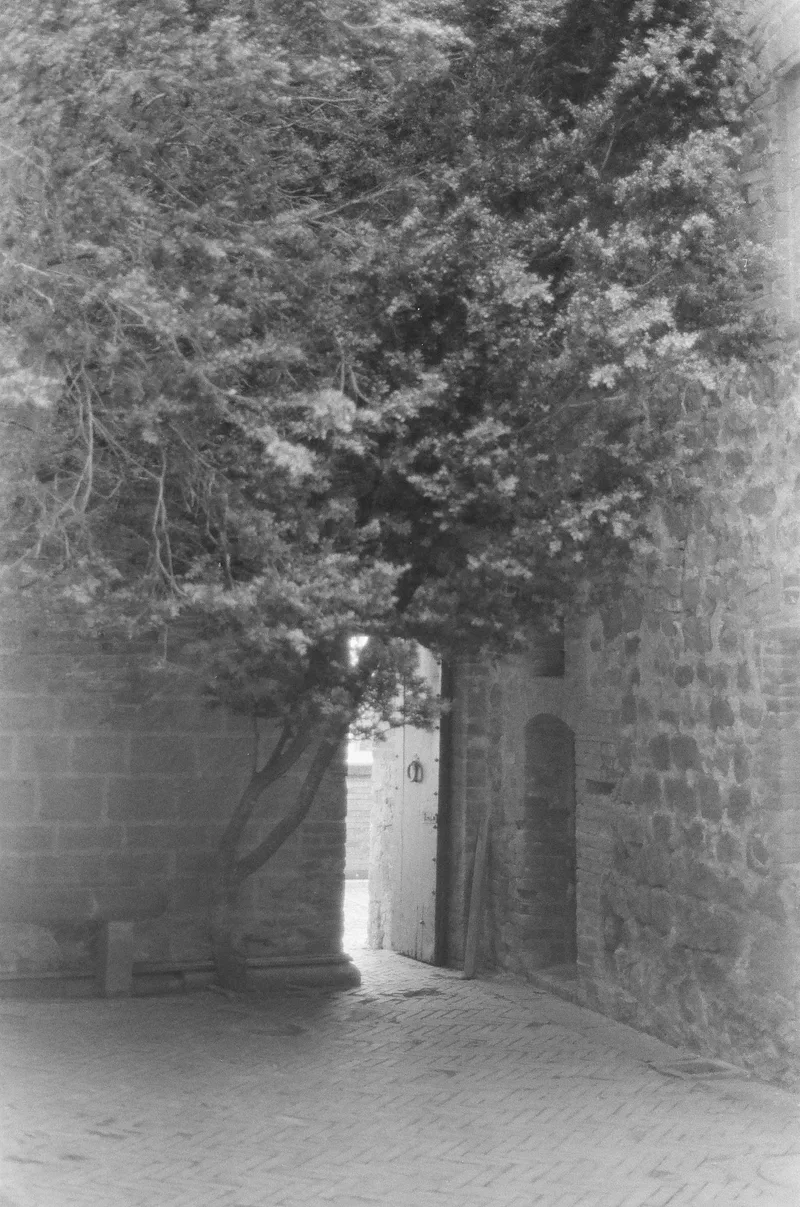 eden shot on Ilford Kentmere Pan 100 with a Nikon FM2, developed at GrainLab, by bianca rati