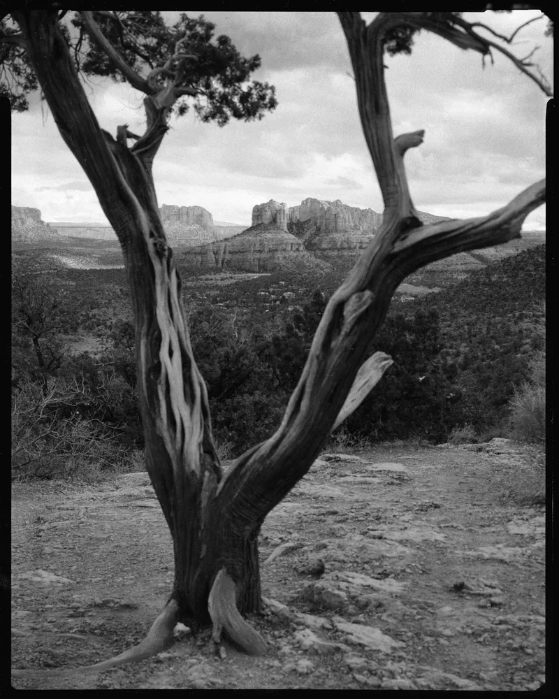 Film photo shot on Foma RetroPan 320 Soft with a Wista VX, developed at Home / Self-Developed