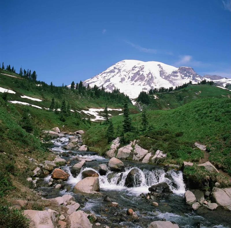 Mt. Rainier shot on Fujifilm Provia 100F with a Hasselblad 500C/M, developed at Panda Lab, by Marcus