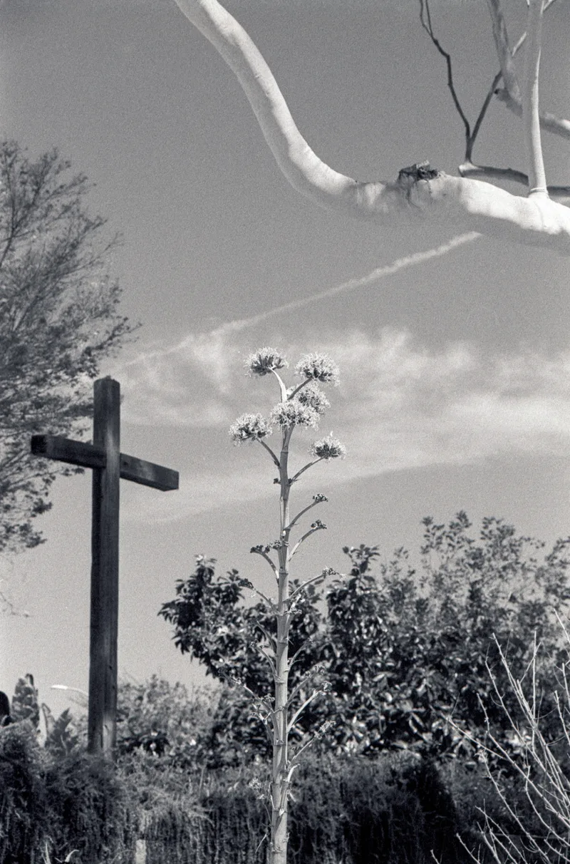 California Mission shot on Cinestill BWXX with a Olympus OM-2N, developed at Home / Self-Developed, by John Deleersnyder
