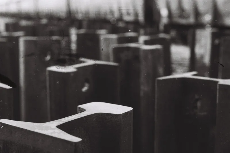 First shot on Ilford XP1 with a Pentax MG, developed at Home / Self-Developed, by David Radonjić