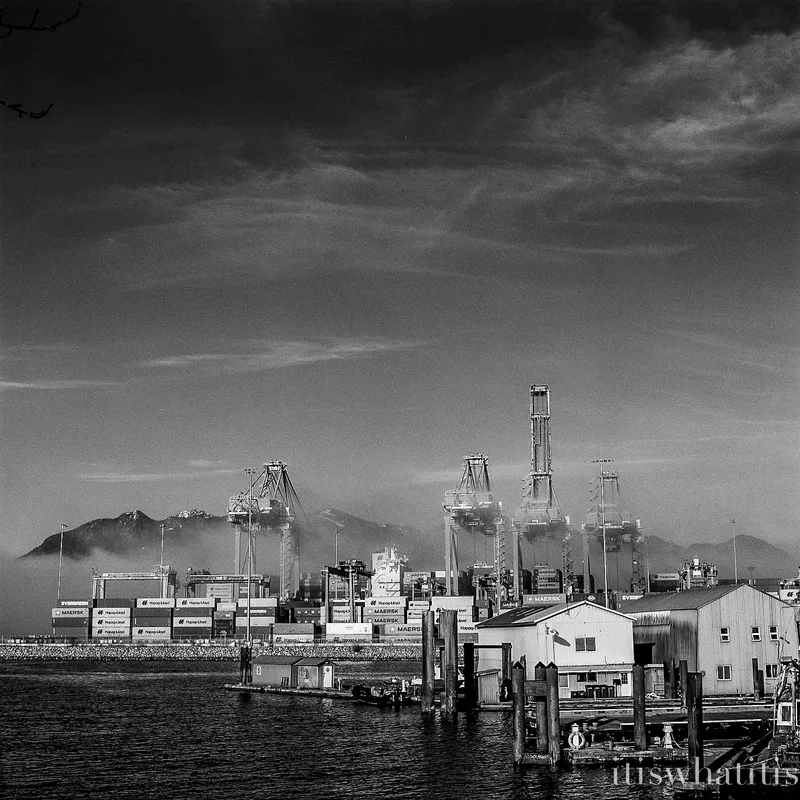 Film photo shot on Ilford Delta 100 with a Hasselblad 500C, developed at Rocket Reprographics, by Karen
