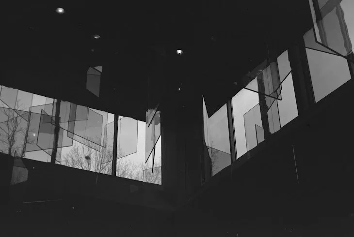 Panes shot on Svema Foto 100 with a Canon AE-1 Program, developed at Eastside Laboratories, by Max Dillman