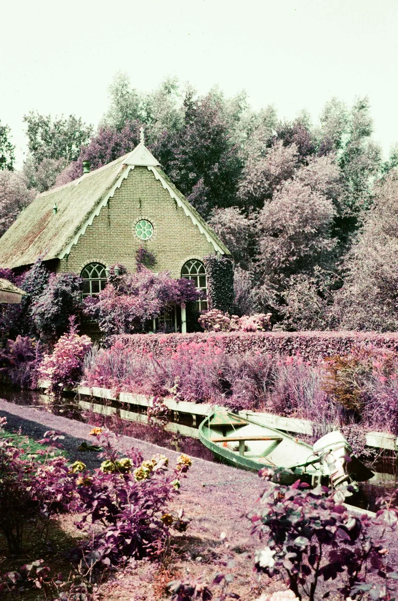Giethoorn in purple shot on Lomography LomoChrome Purple 100 with a Canon EOS 300, by Tatiana