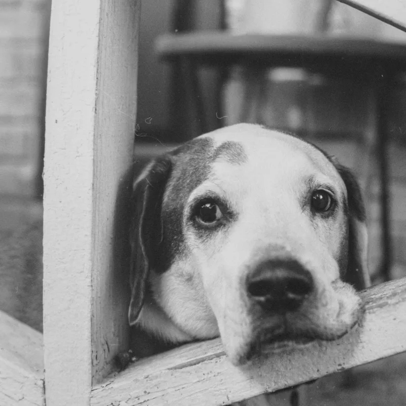 Randy shot on Arista EDU Ultra 100 with a Canon AE-1, developed at Home / Self-Developed, by Ryan Jensen