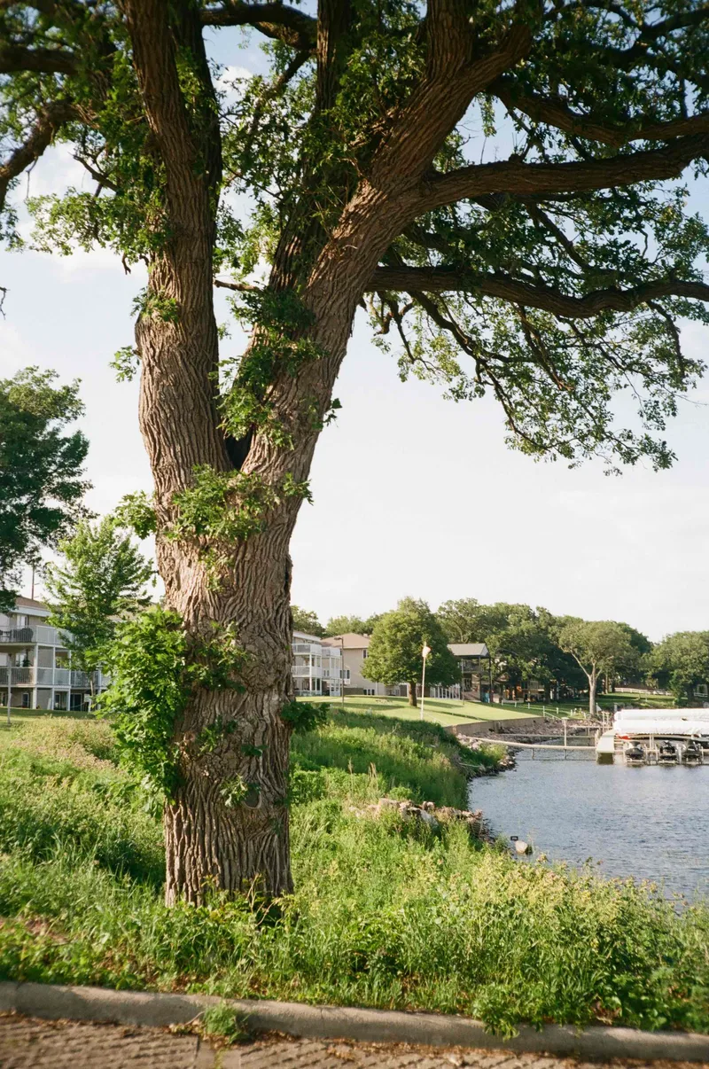 Film photo shot on Kodak ColorPlus 200 with a Minolta Hi-Matic G, developed at Schiller's Camera, by SC