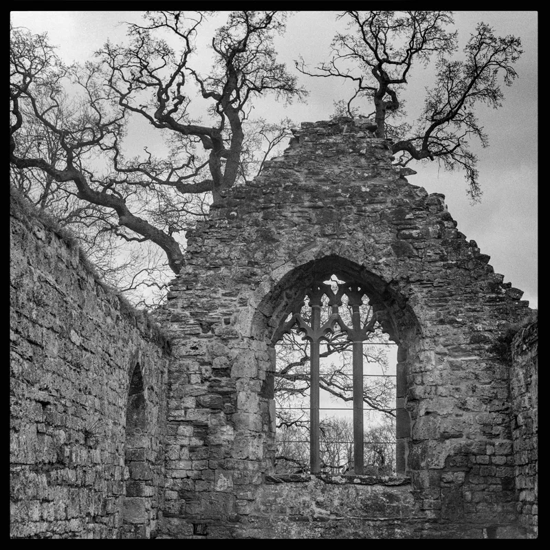 Stone and Wood shot on Kodak T-Max 400 with a Mamiya 6_Automat_II, developed at Home / Self-Developed, by Stuart Leeds