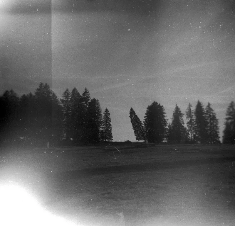 just not standing upright... shot on Fotokemika Efke R with a Holga, by betterthanshavinglegs