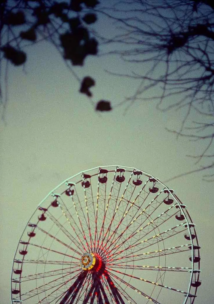 Film photo shot on Cinestill 800T with a Olympus Pen F, developed at Nation Photo, by damiano