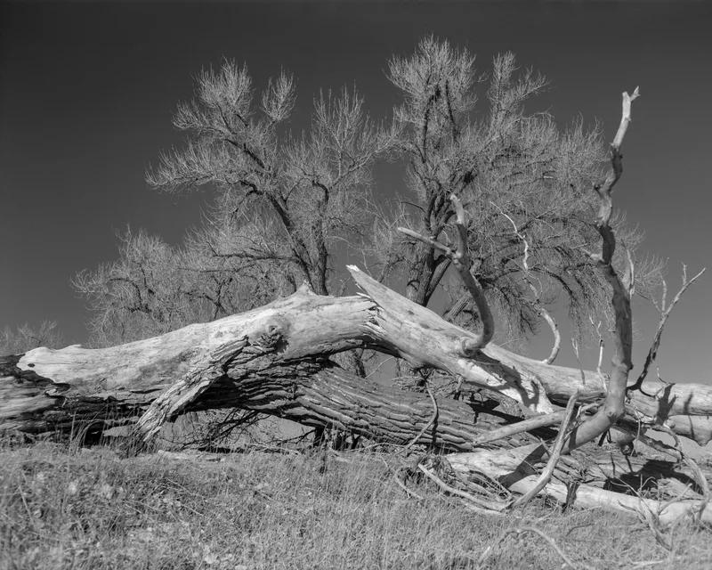 Broken shot on Ilford HP5 Plus 400 with a Graflex Crown Graphic, developed at KellaPhoto, by Kellachrome