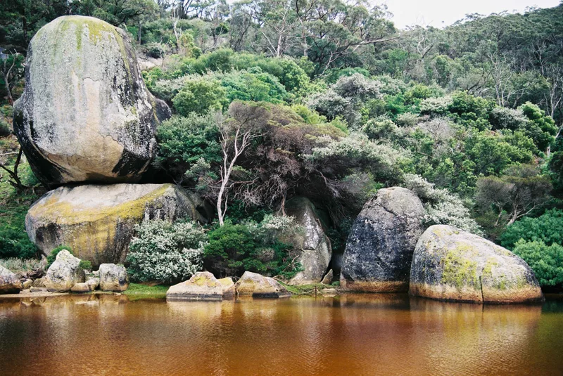 Film photo shot on Agfa Vista Plus 200 with a Nikon F3 HP, developed at DigiDirect Melbourne, by Masterofnone