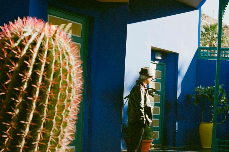 Jardin Marjorelle shot on Kodak Gold 200 with a Leica R4, by Amy Teigen
