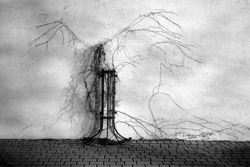 There are hidden dragons among us shot on Ilford HP5 Plus 400 with a Minolta AF-C, developed at Home / Self-Developed, by Kamil Kowalkowski