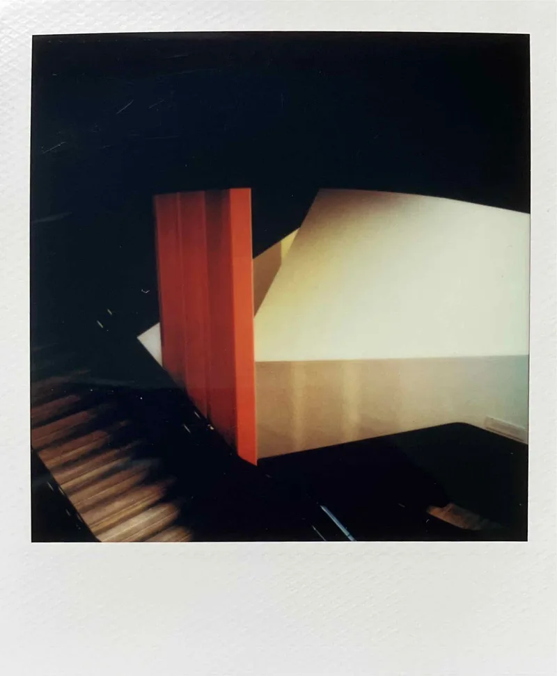 Red shot on Polaroid 600 with a Polaroid SX-70 Alpha 1, developed at Instant Film, by MelvynJ
