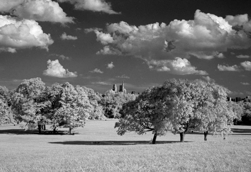 Belmont Plateau shot on Rollei Infrared 400 with a Canon EF, developed at Home / Self-Developed, by alexonkow
