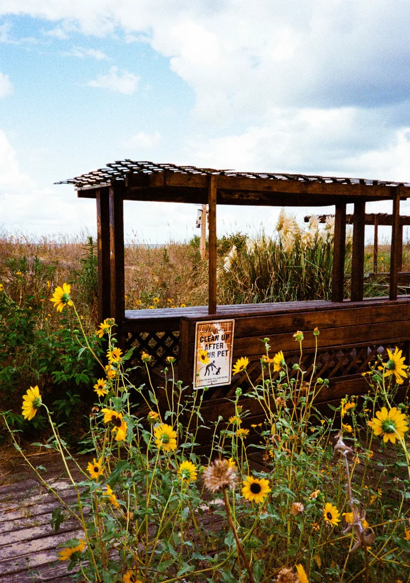 Film photo shot on Fujifilm Fuji 400 with a Pentax 17, developed at The DarkRoom, by Ryan