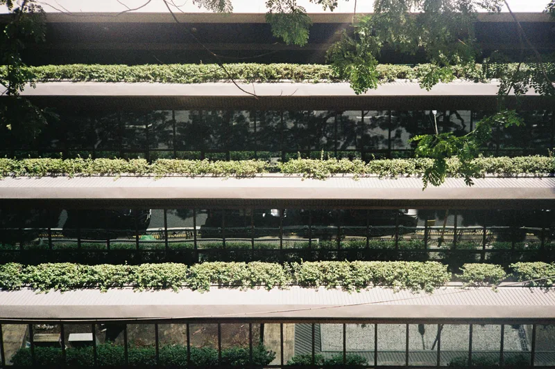 odd shot on Lomography CN 100 with a Canon AF35M, developed at Wonder Photo Shop by Fujifilm, by lianne