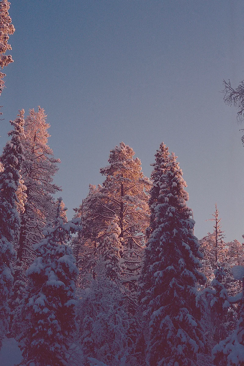 Äkäslompolo, Finland shot on Kodak Ektar 100 with a Canon AE-1, developed at Foto Schelfhout, by Arthur Fonteyn