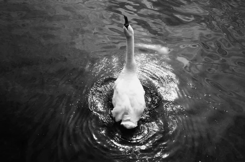 Zurich | 2022 shot on Scala with a Leica M6 Classic, developed at dr5 Chrome, by kitonga