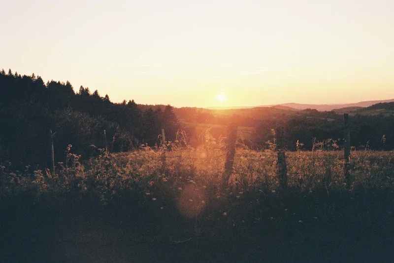On the way back with a Canon 300v, by Emilie Dubeurre