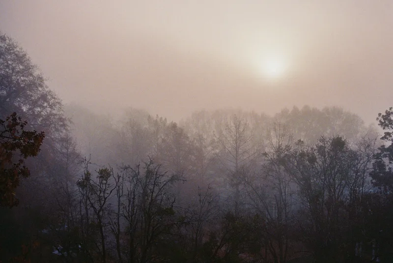 Foggy Mountain Morning shot on Kodak UltraMax 400 with a Minolta X-700, developed at The FotoShoppe, by Cory