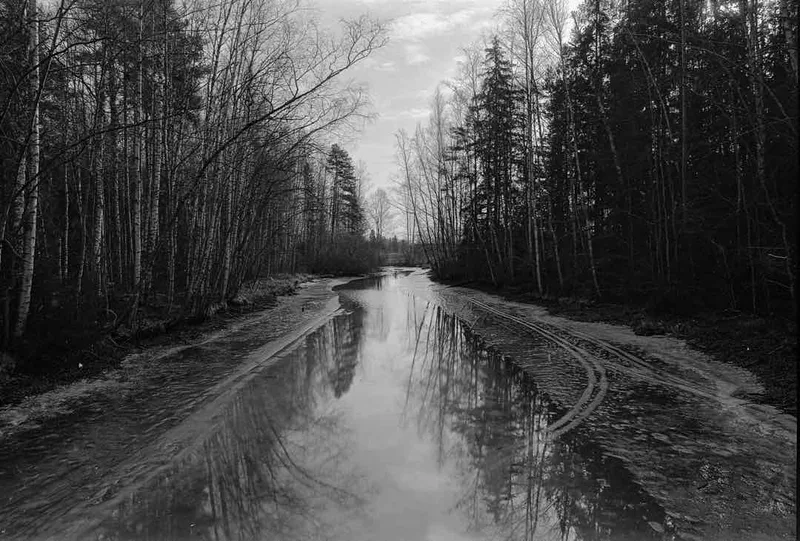 Spring II shot on Lomography Babylon Kino 13 with a Nikon F100, developed at Home / Self-Developed, by Jussi