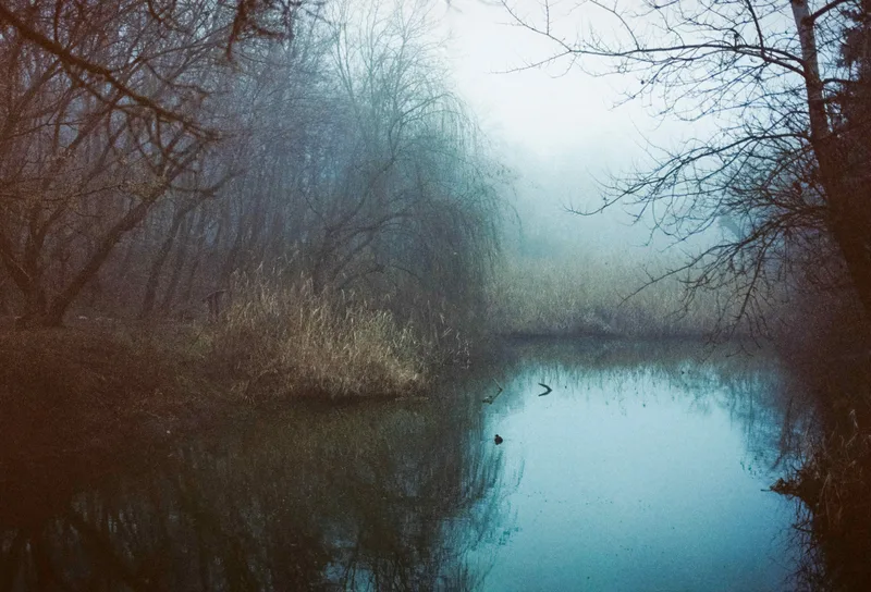 Misty lake shot on Kodak Kodacolor vr400 with a Ricoh KR-10, by marius.iordache