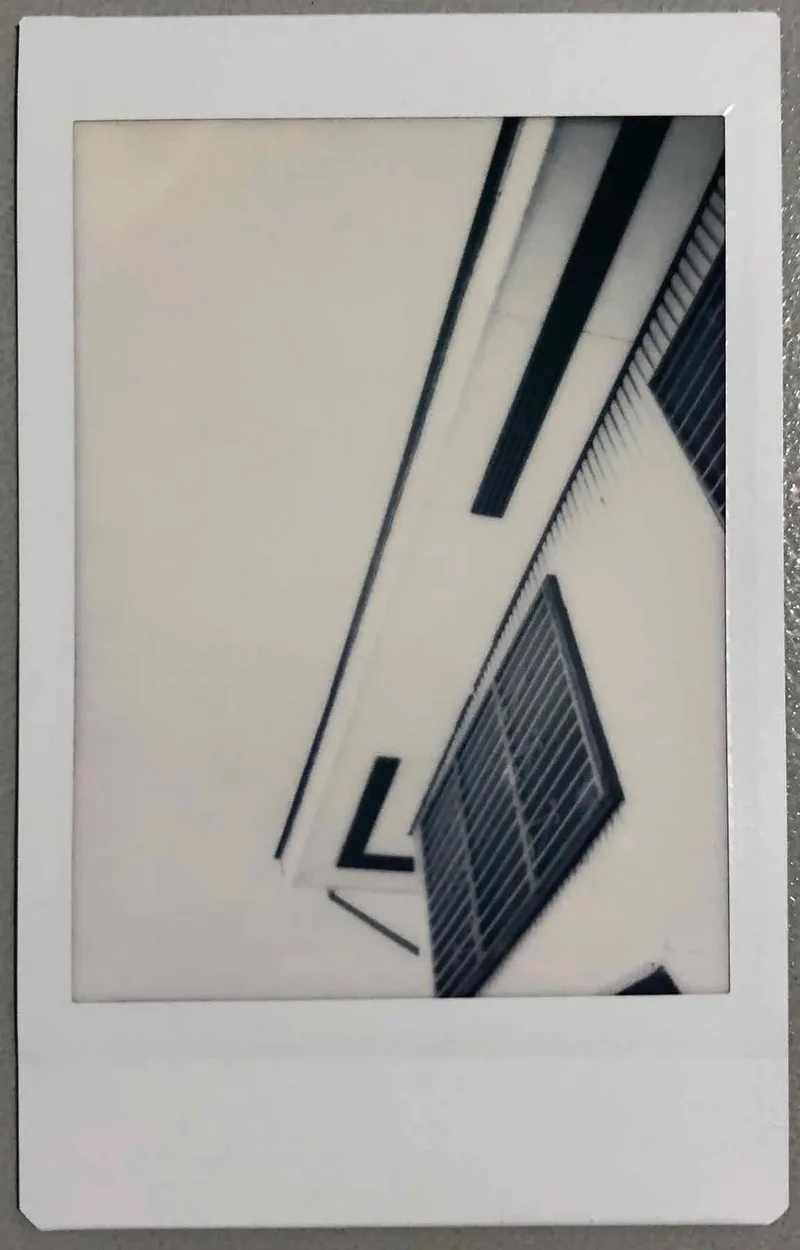 Home shot on Fujifilm Instax Mini with a Fujifilm Instax Mini 9, by Rafael Gandionco