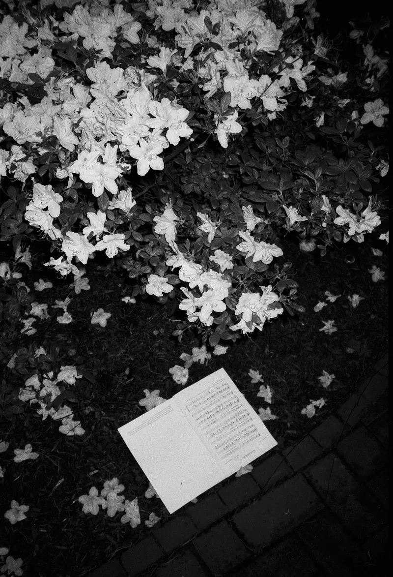 Film photo shot on Kodak T-Max 400 with a Canon AL-1, by Graham