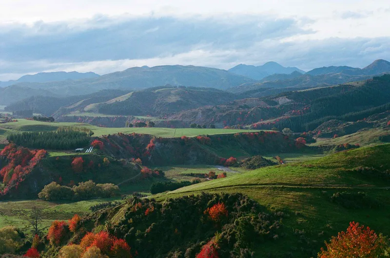 Autumn Hills shot on Kodak Portra 400 with a Canon EOS850, developed at Snappy Snaps, by Noah Kasak
