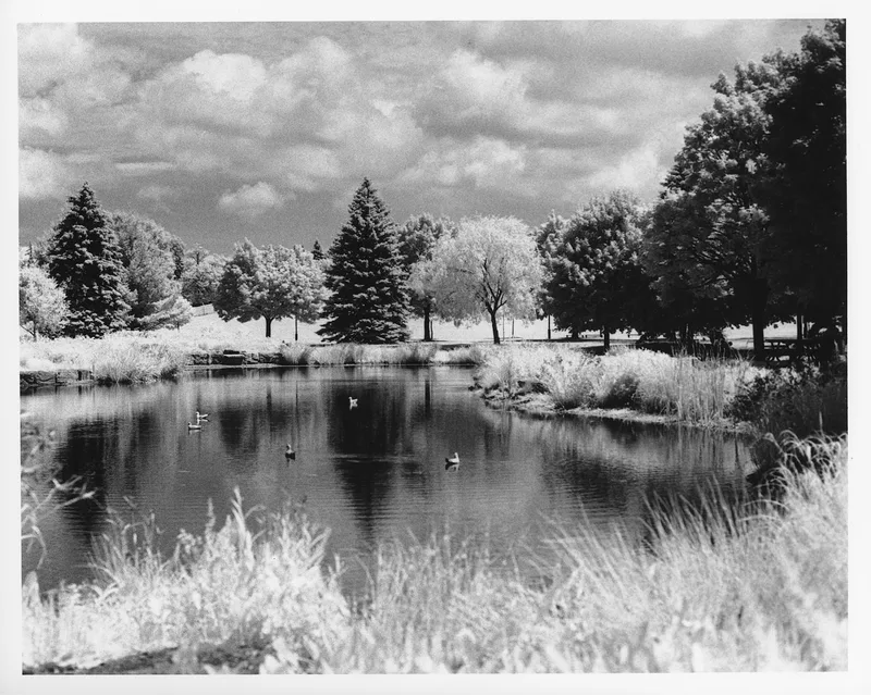 Pond shot on Rollei Infrared 400 with a Nikon FE 2, developed at Home / Self-Developed, by Luc Béliveau