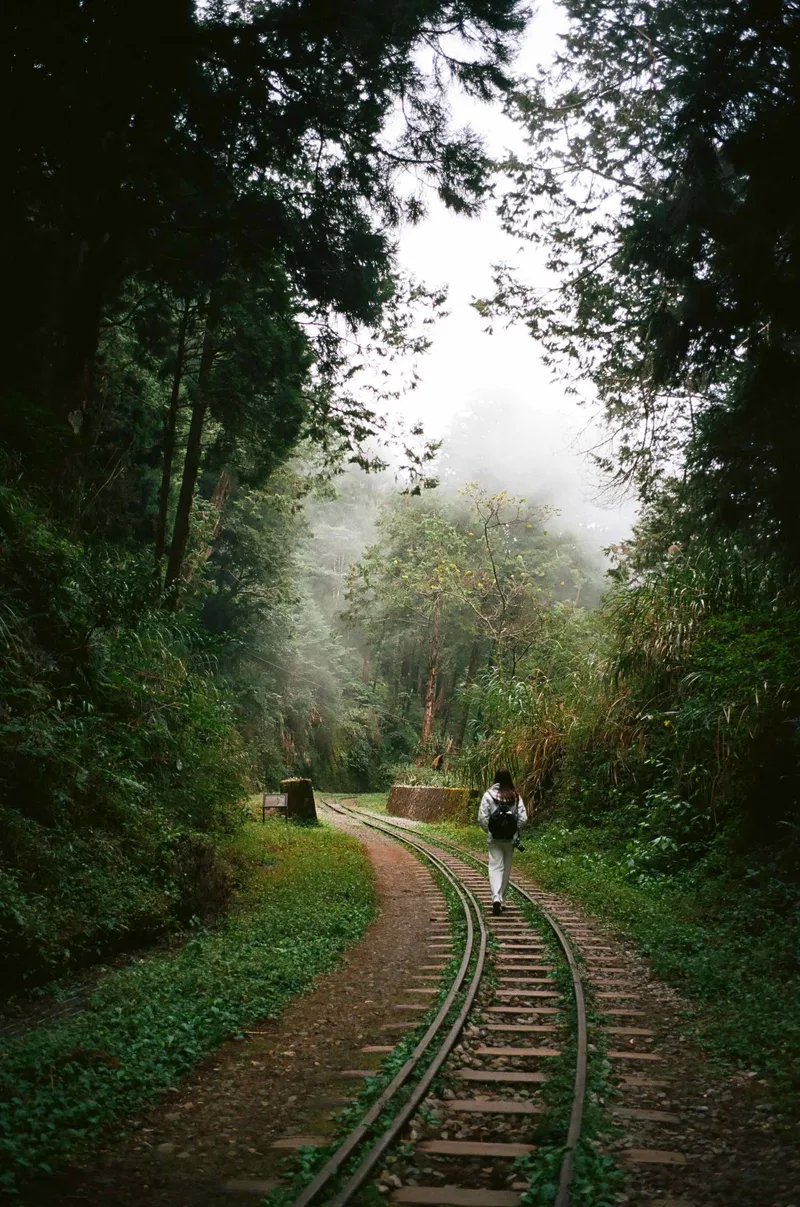 Railway on Alishan shot on Kodak Ektar 100 with a Leica MP, by Anthony