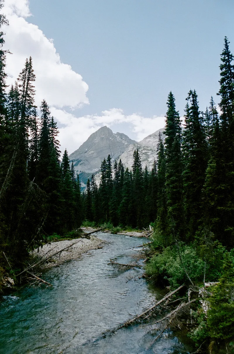 Glacier Natl Park shot on Fujifilm 400 with a Minolta X-570, developed at The DarkRoom, by Victor