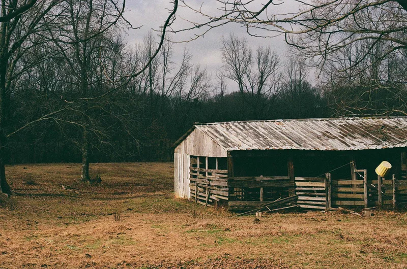 Film photo shot on Kodak Gold 200 with a Canon Rebel G, developed at Dexter’s Camera, by sam