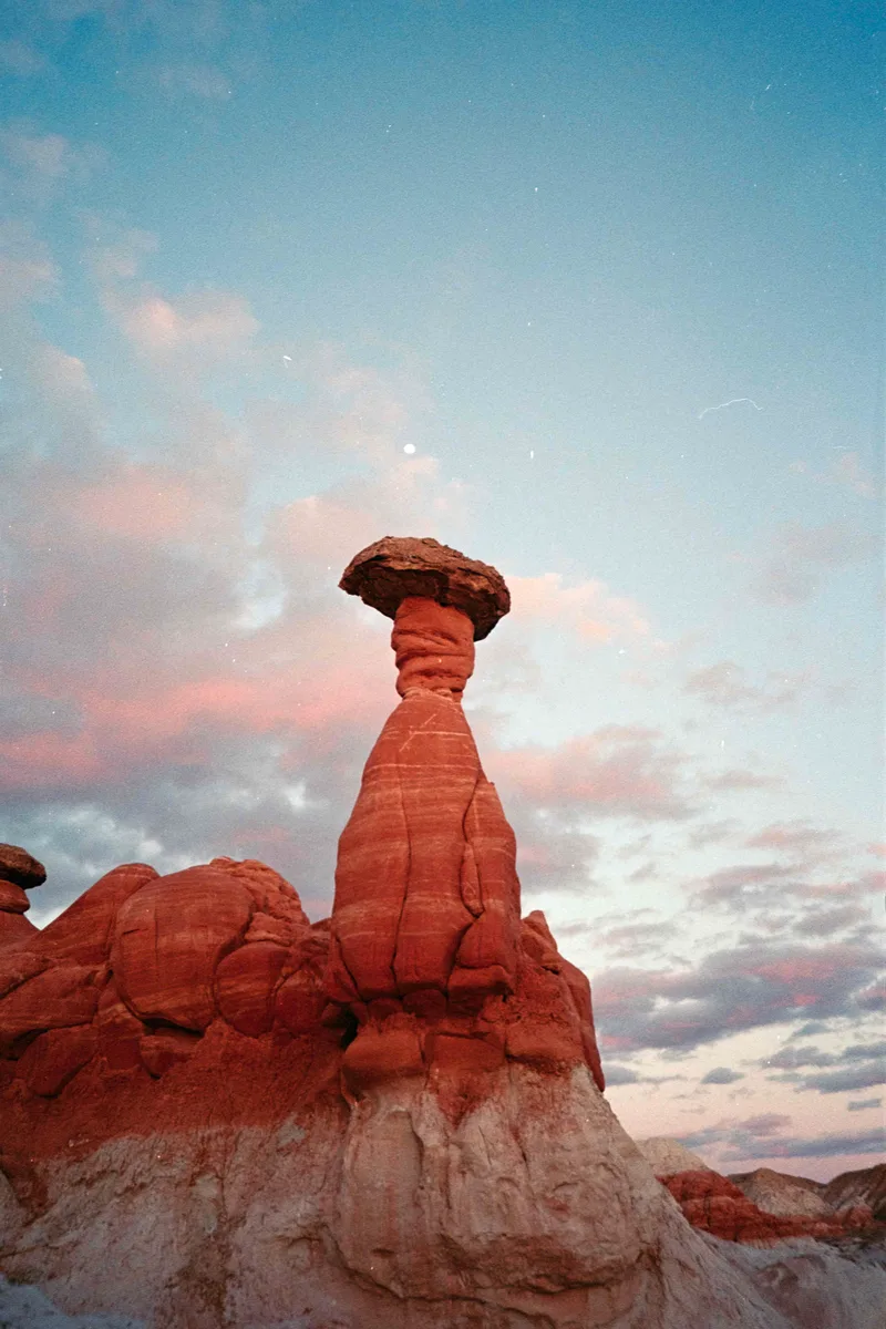 Toadstool shot on Lomography CN 400 with a Leica M6, developed at The Photo Outfitters, by Cannon Spradley