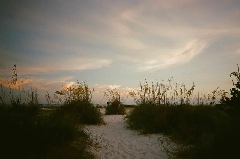 Film photo shot on Kodak UltraMax 400 with a Kodak SnapicA1, by Josh
