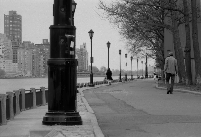 Roosevelt Island Street Lamps shot on Ilford Delta 100 with a Nikon S32000Edition, developed at Home / Self-Developed, by Anthony