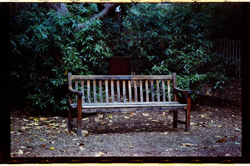 38 shot on Kodak Colorplus with a Nikon F100, developed at Abandoned Cameras, by EveryOnceInAWhile