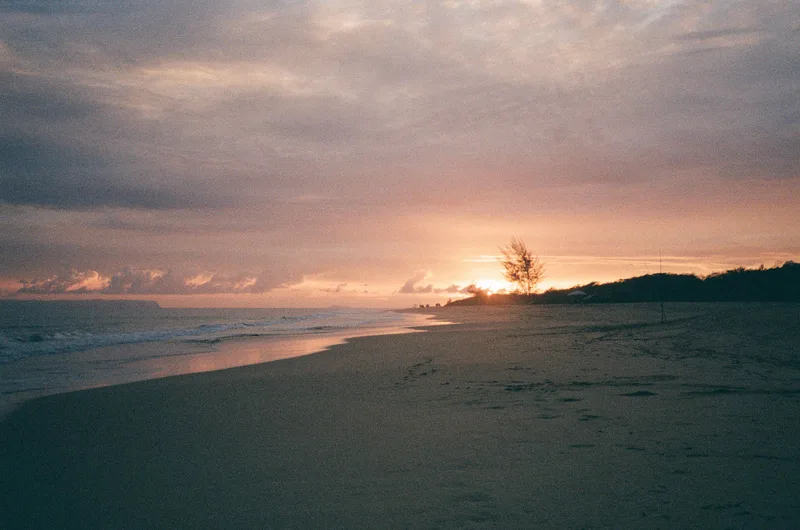 Film photo shot on Kodak Gold 200 with a Nikon L35AF 3, developed at Indie Film Lab, by kamera kerry