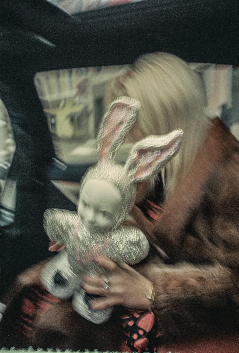 Rabbit shot on Fujifilm Eterna 250D with a Contax TVS, by Pétrovich