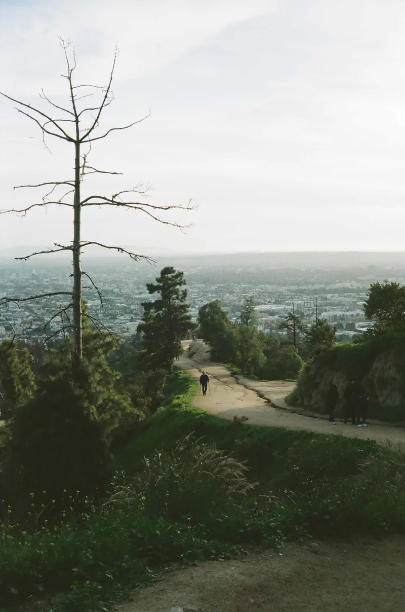 Stroll in Griffith Park shot on Kodak Portra 160 with a Konica AutoS2, developed at Dominion Camera, by Lucy Mueller