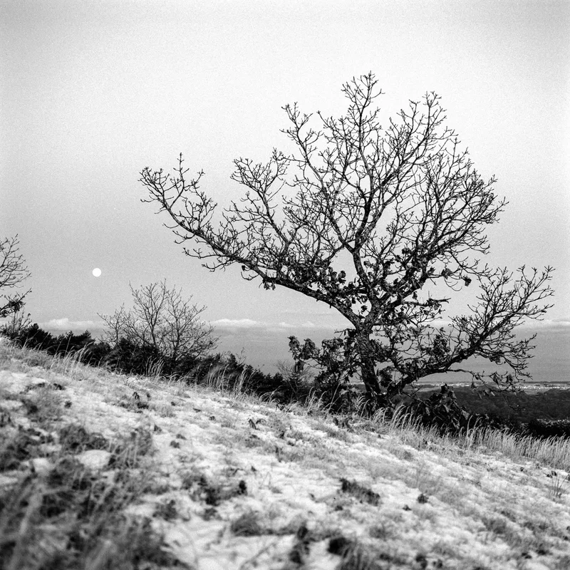 Winter Moonrise shot on Kodak Tri-X 400 with a Hasselblad 503CXi, developed at Home / Self-Developed, by Kevin Moore