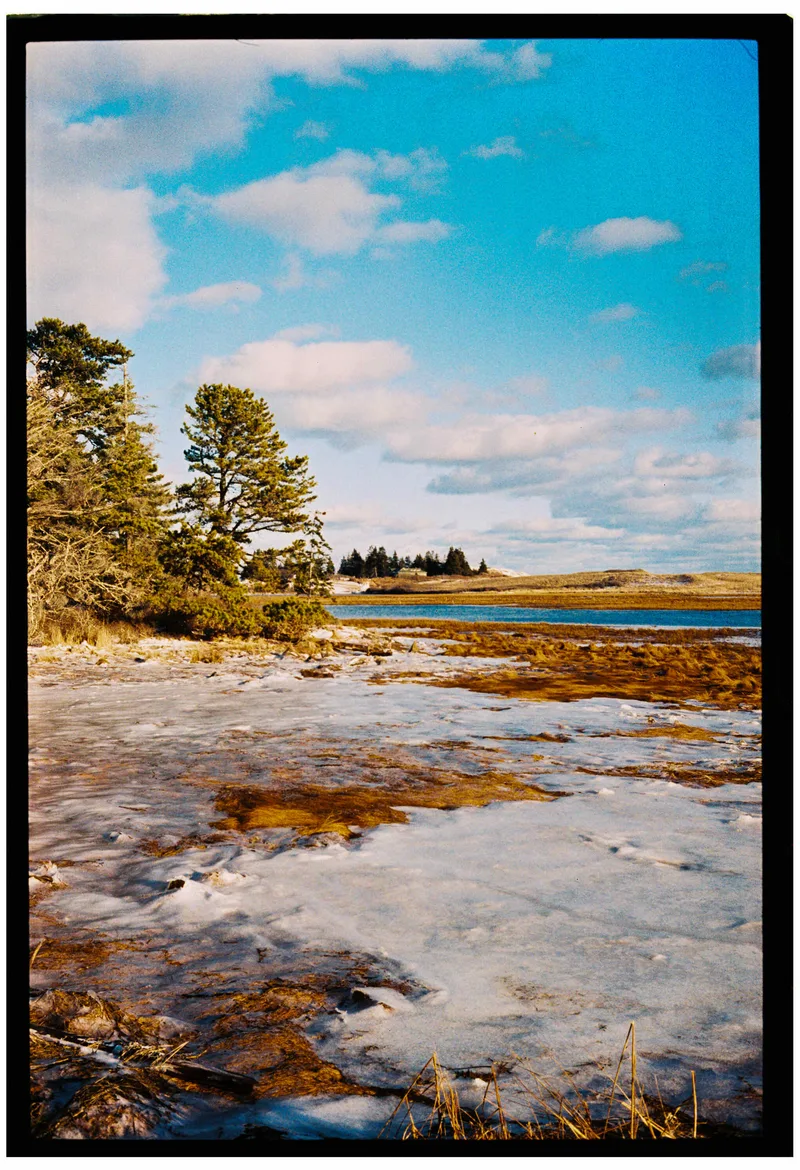 reid state park, georgetown, maine shot on Lucky C200 with a Leica M4, developed at Northeast Photographic, by Eric Wefald - Huang