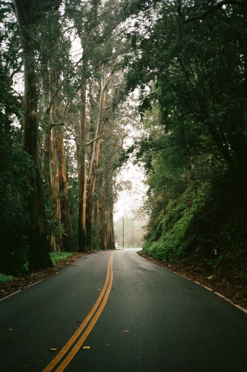 Film photo shot on Kodak Portra 400 with a Minolta Hi-Matic AF, developed at Indie Film Lab, by Kati