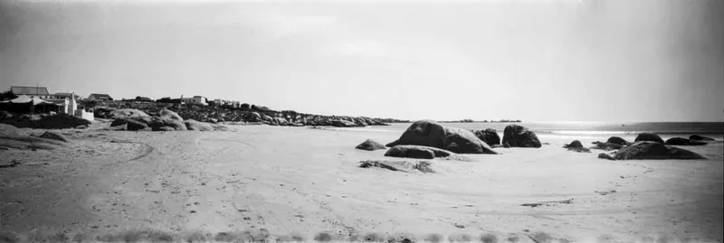 Beachlife shot on Foma Fomapan 100 Classic with a RealitySoSubtle 6x17F, developed at My own darkroom, by Hans- B. Sickler