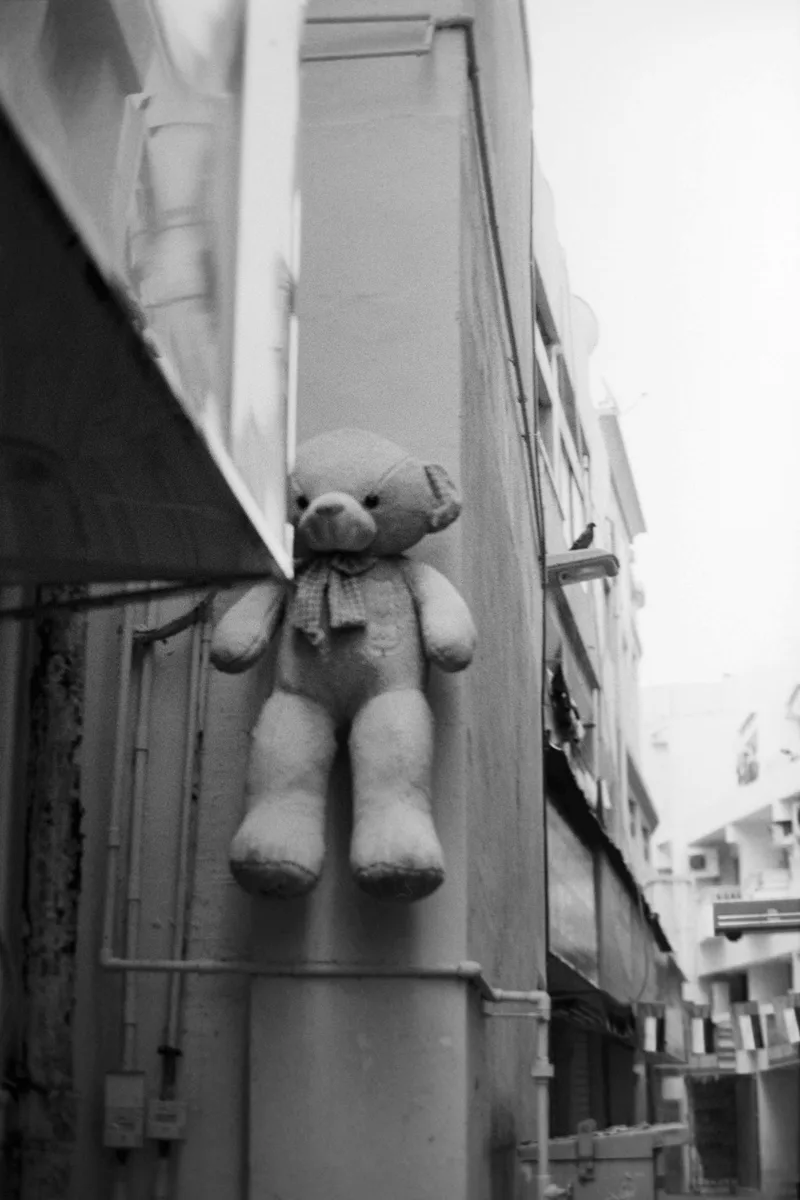 Teddy shot on Ferrania P33 with a Olympus OM-2SP, developed at Home / Self-Developed, by Faisal