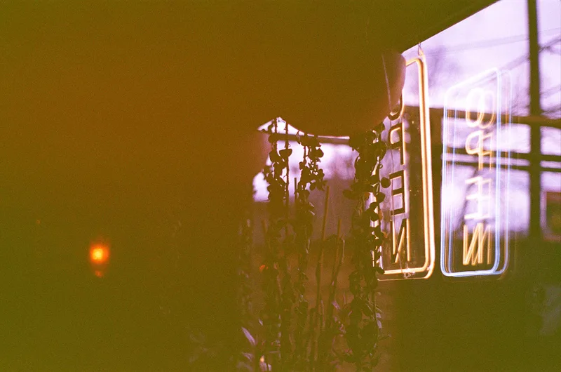 🌱 shot on Revolog Kolor 200 with a Pentax K1000, by B.S.Joseph