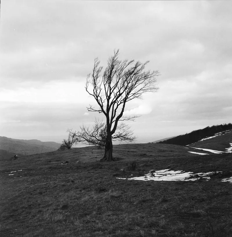 Film photo shot on Foma Fomapan 100 Classic with a Zenza Bronica S2, developed at Home / Self-Developed, by bartek_tos