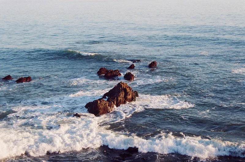 Donnay Point shot on Fujifilm Superia X-TRA 800 with a Nikkormat FT3, developed at Dexter’s Camera, by Brickxbronson